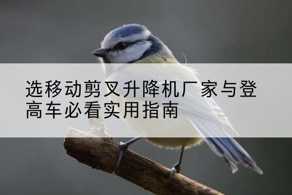 龙陵电动升降机厂家-选移动剪叉升降机厂家与登高车必看实用指南