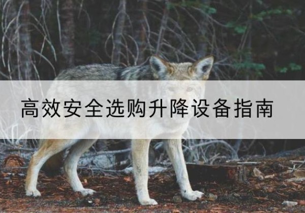 龙陵升降货梯厂家推荐-*安全选购升降设备指南
