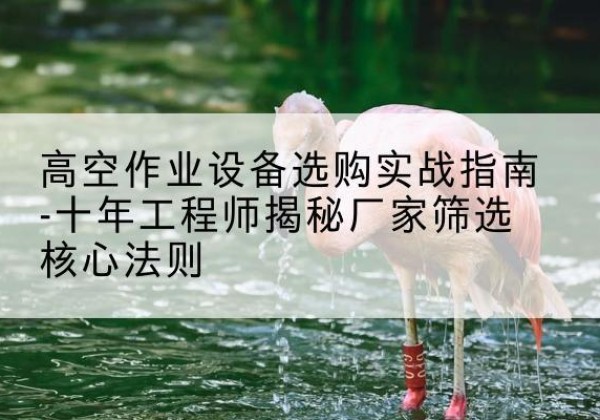龙陵剪叉式升降机厂家-高空作业设备选购实战指南-十年工程师揭秘厂家筛选核心法则